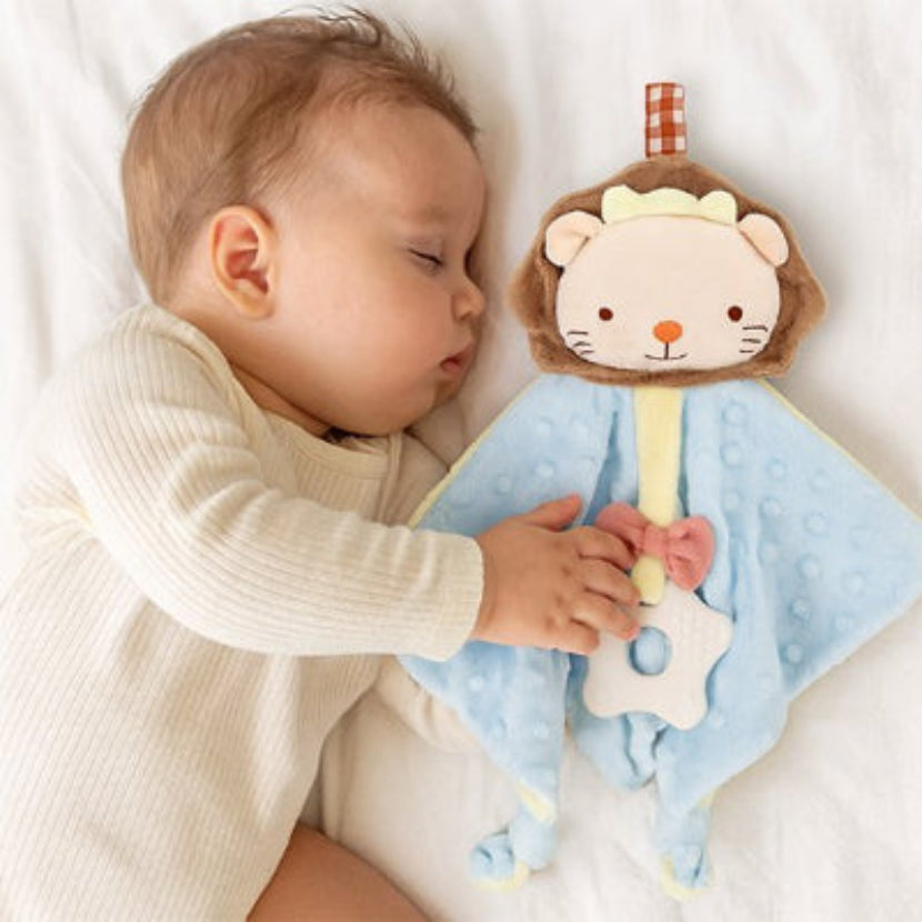 Doudou bebe garcon deux qui dort