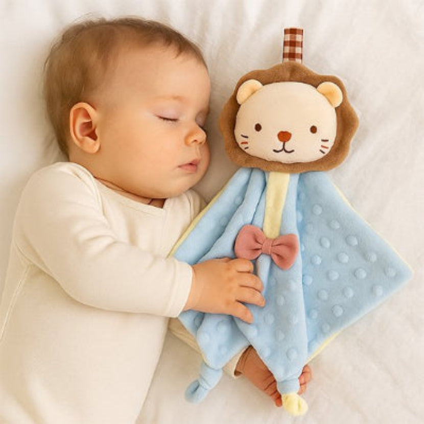 Doudou bebe garcon dort